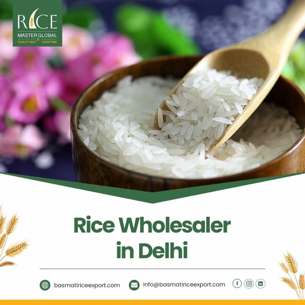 Rice Wholesaler in Delhi