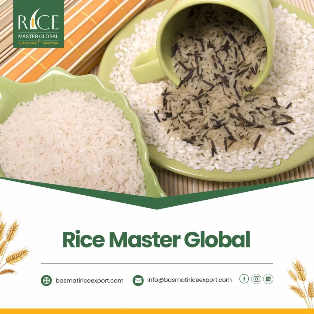 Rice Master Global