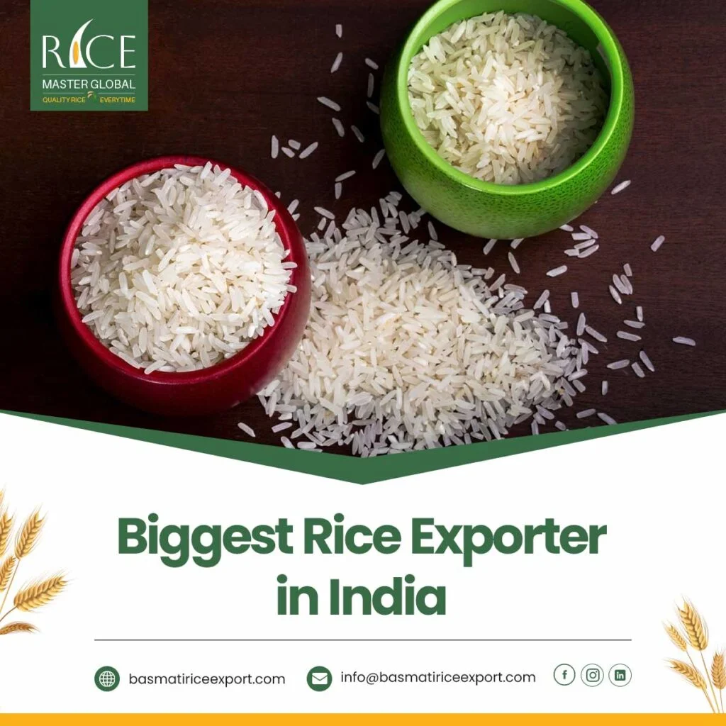 Biggest Rice Exporter in India