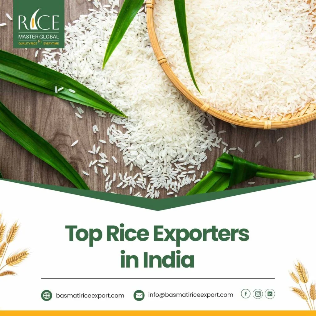 Top Rice Exporters in India