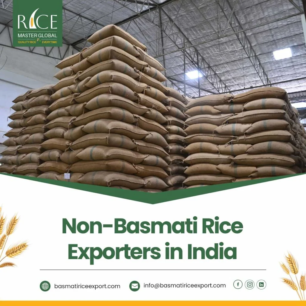 Non-Basmati Rice Exporters in India