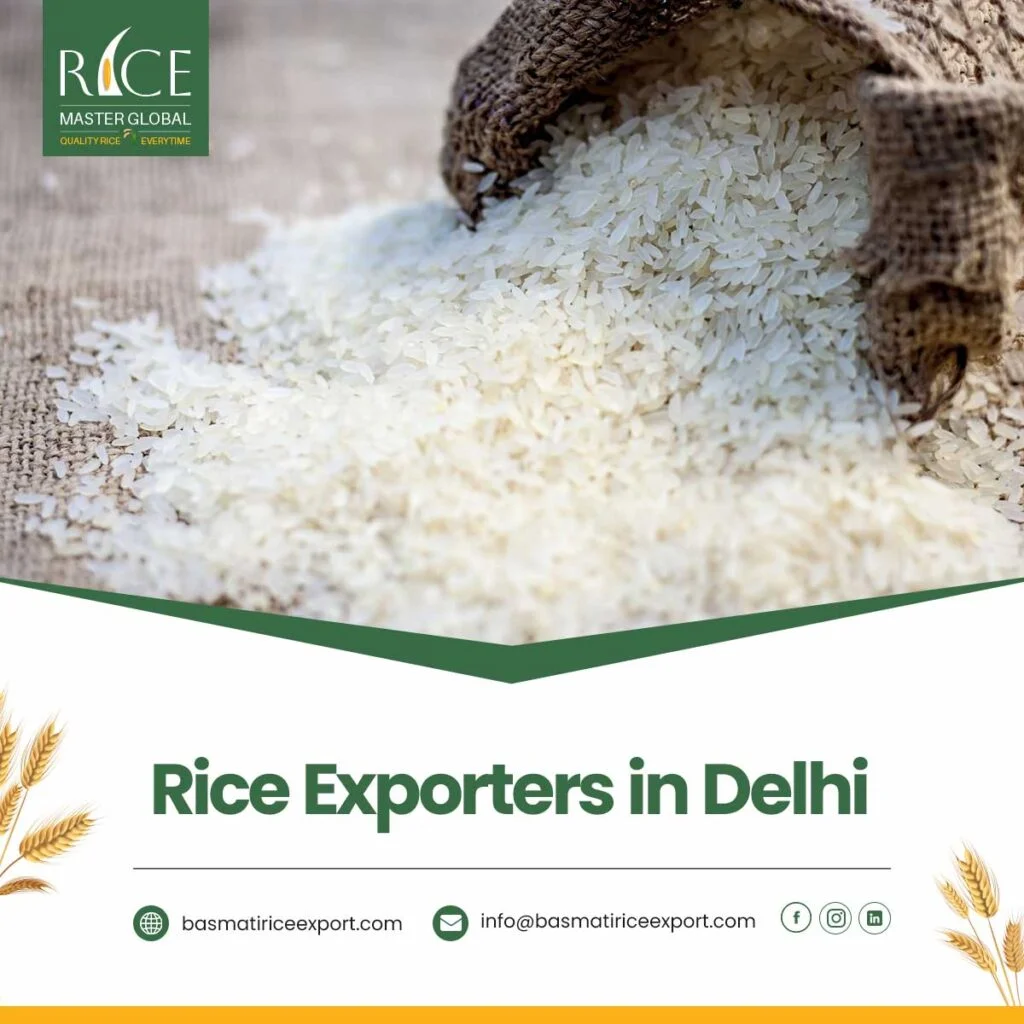 Rice Exporters in Delhi