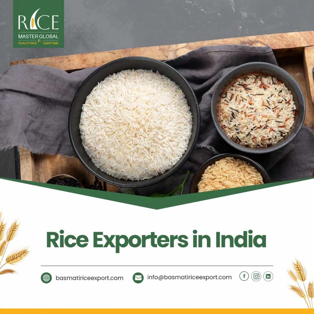 Rice Exporters in India