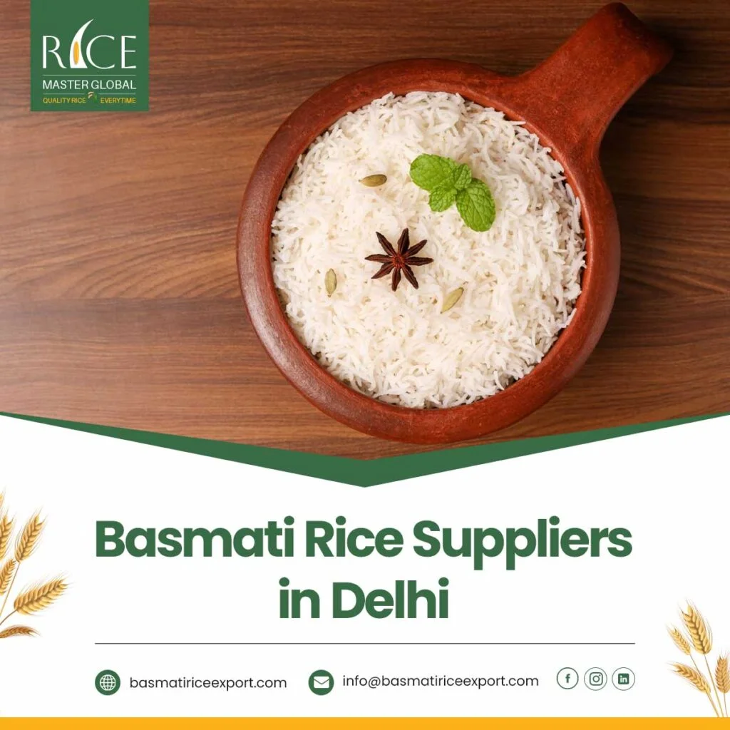 Basmati Rice Suppliers in Delhi