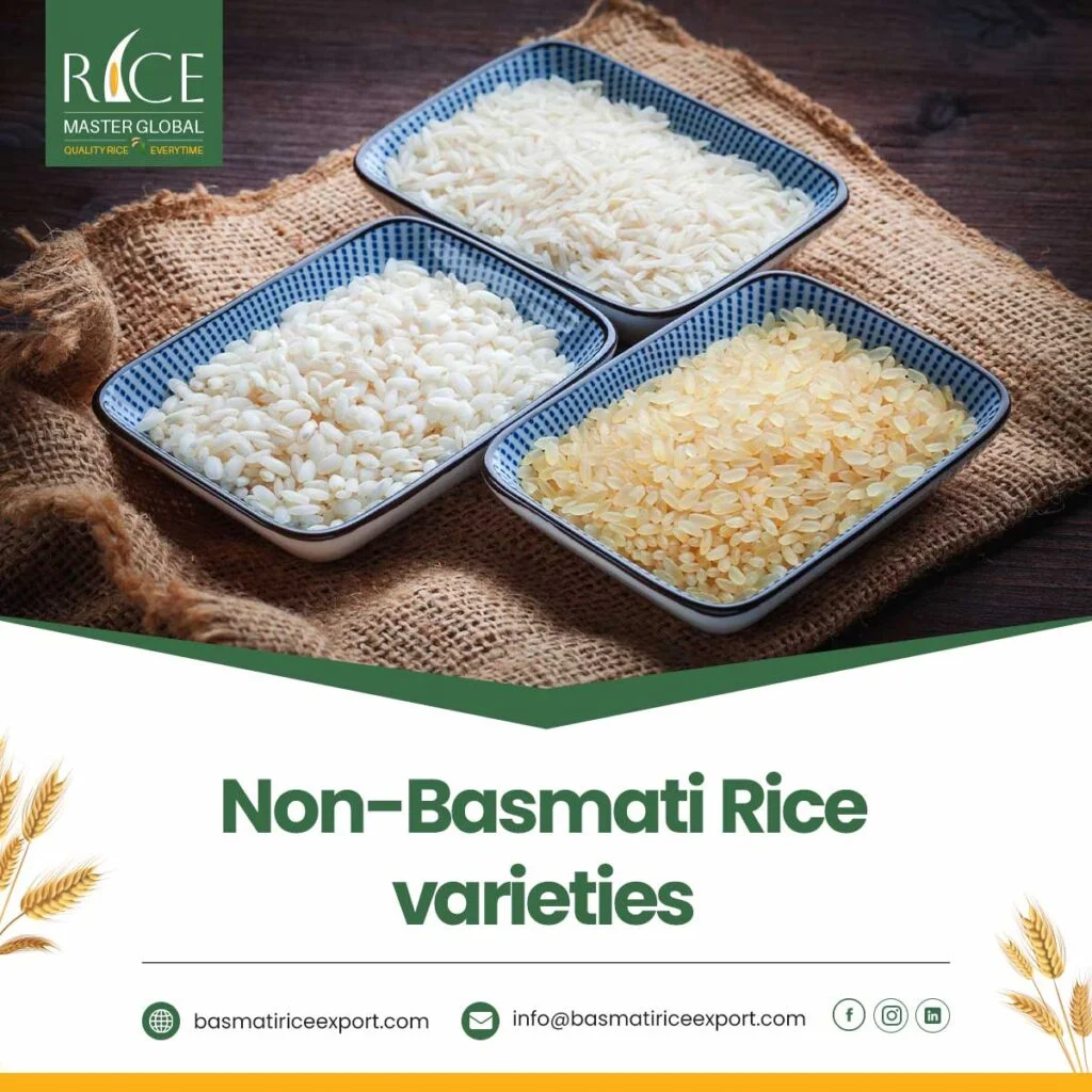 Non-Basmati Rice Varieties