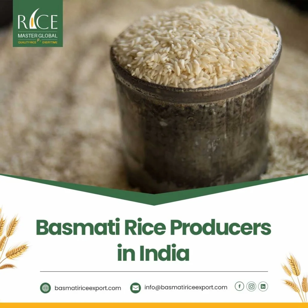 Basmati Rice Producers in India