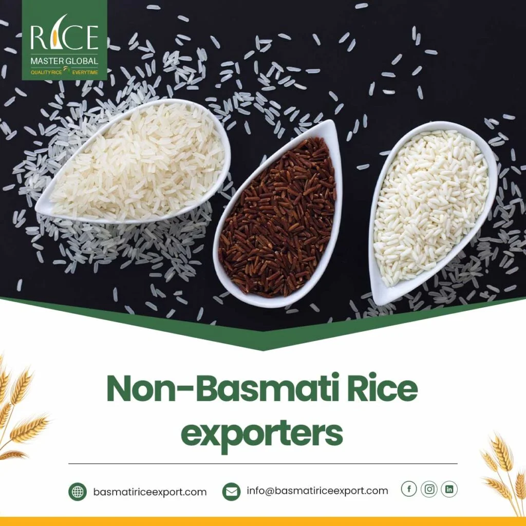 Non-Basmati Rice Exporters