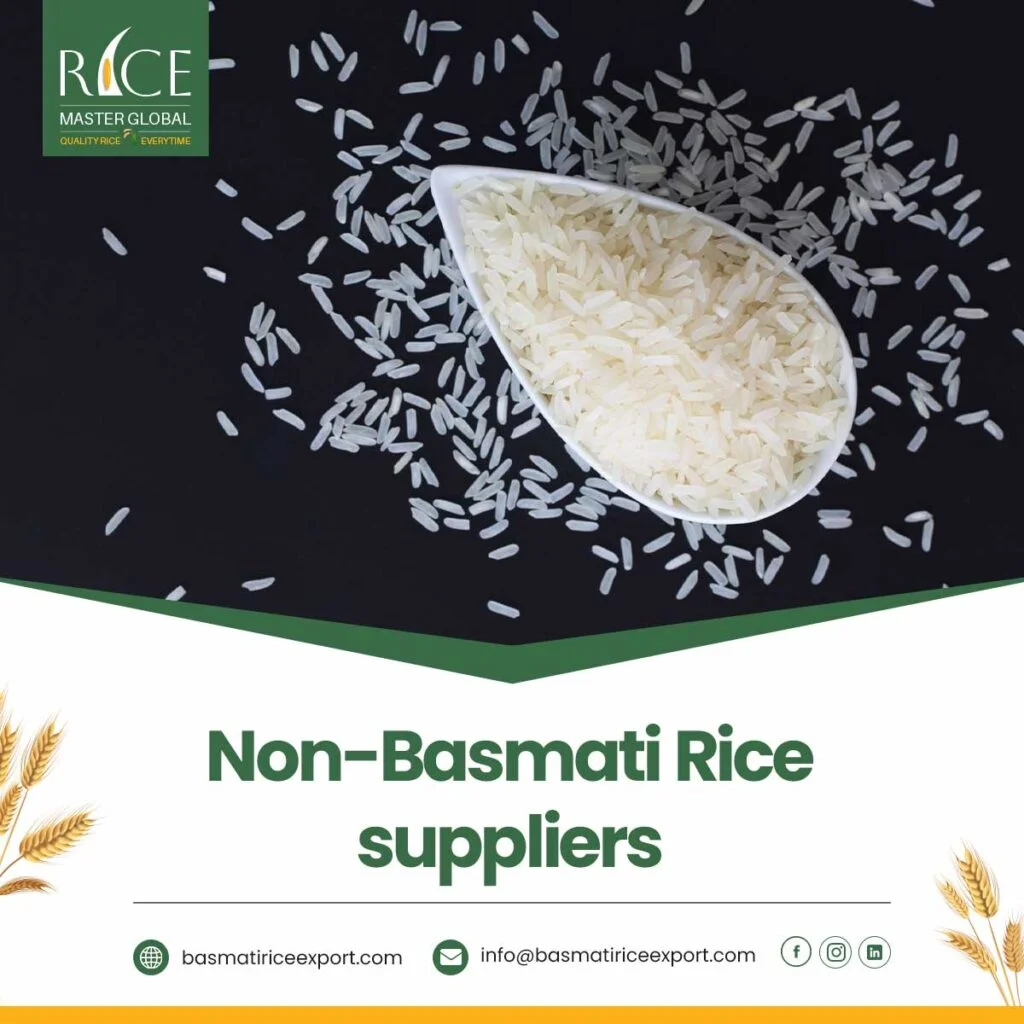 Non-Basmati Rice Suppliers