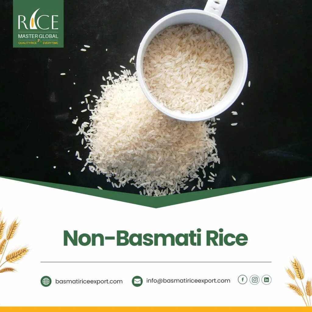 Non-Basmati Rice
