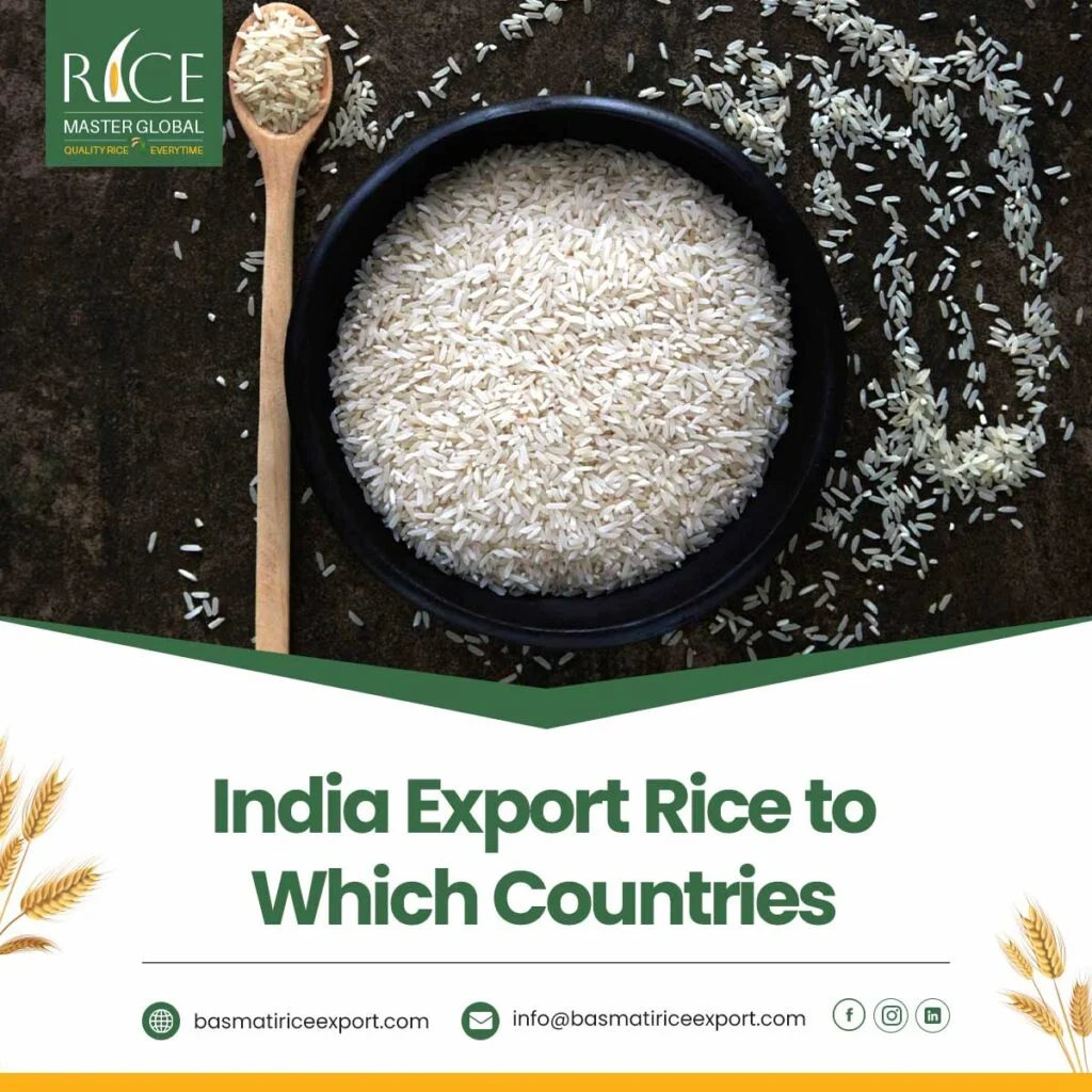 India Export Rice to Which Countries