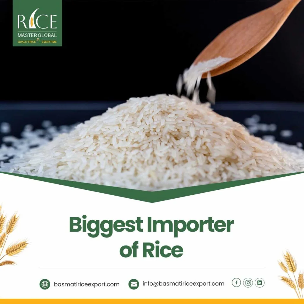 Biggest Importer of Rice