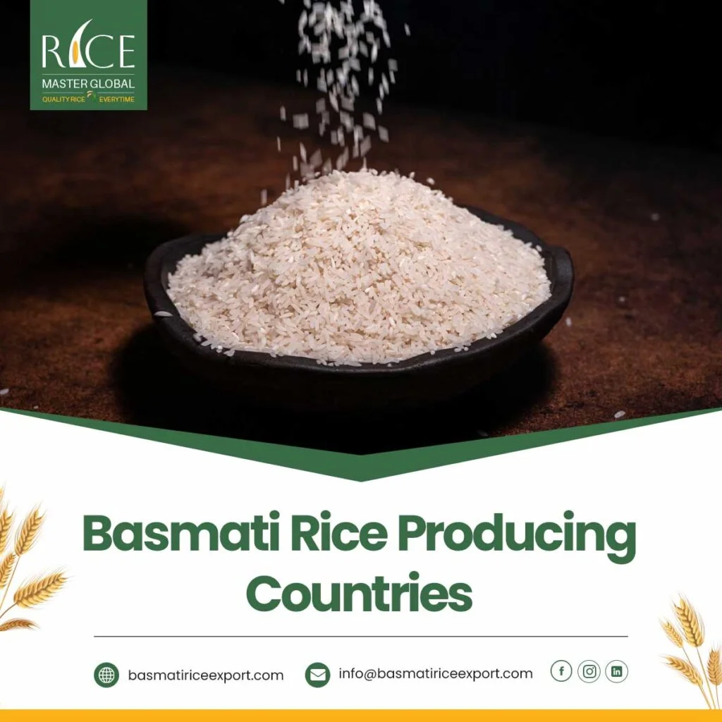 Basmati Rice Producing Countries