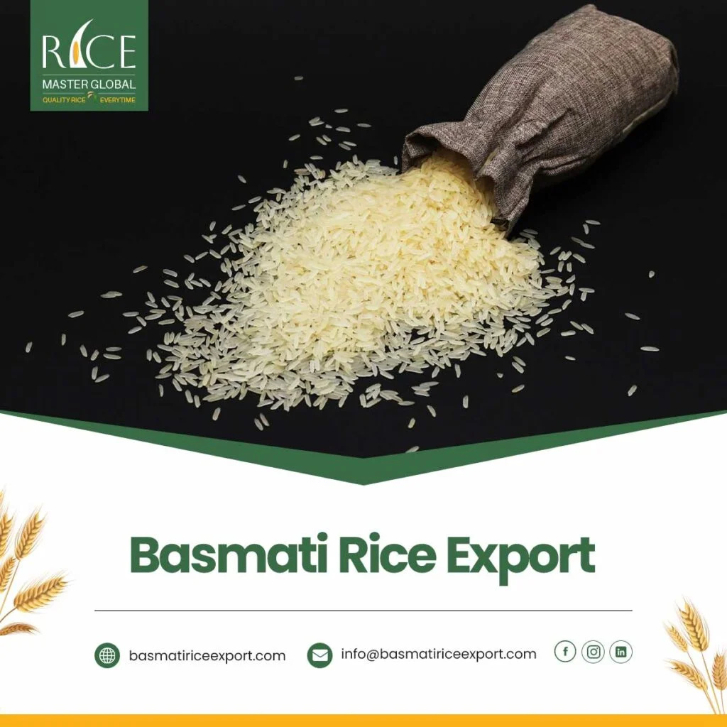 Basmati Rice Export