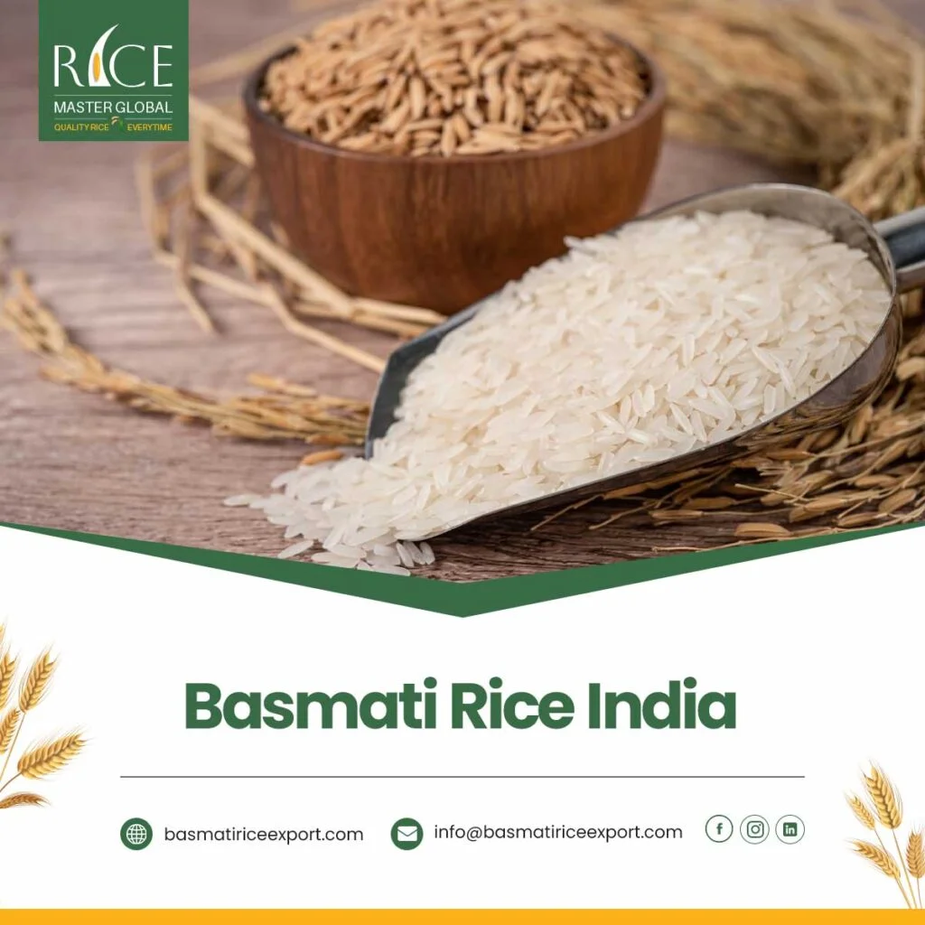Basmati Rice India
