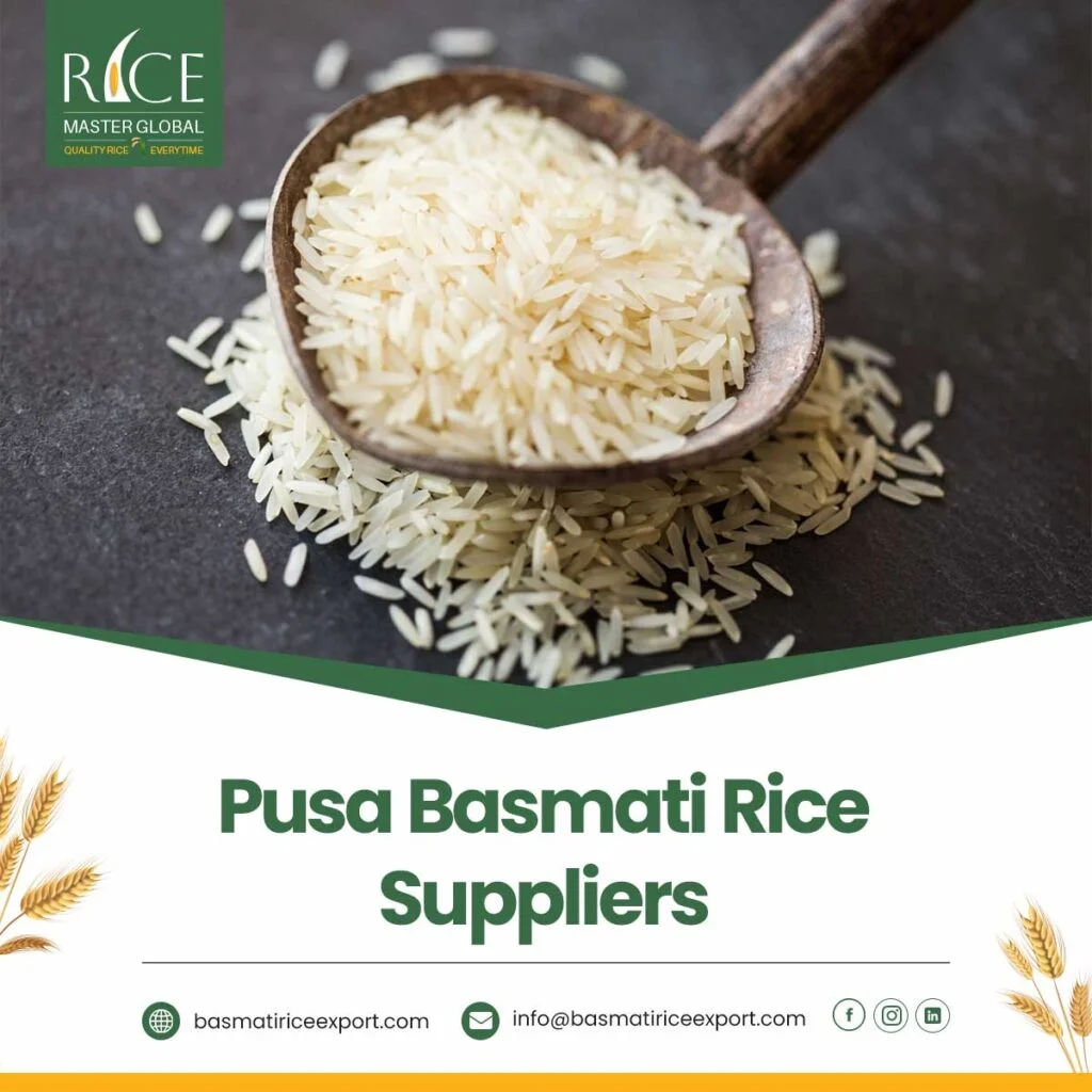 Pusa Basmati Rice Suppliers