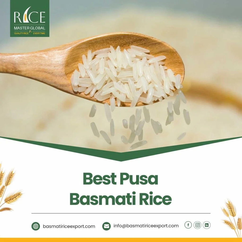 Best Pusa Basmati Rice