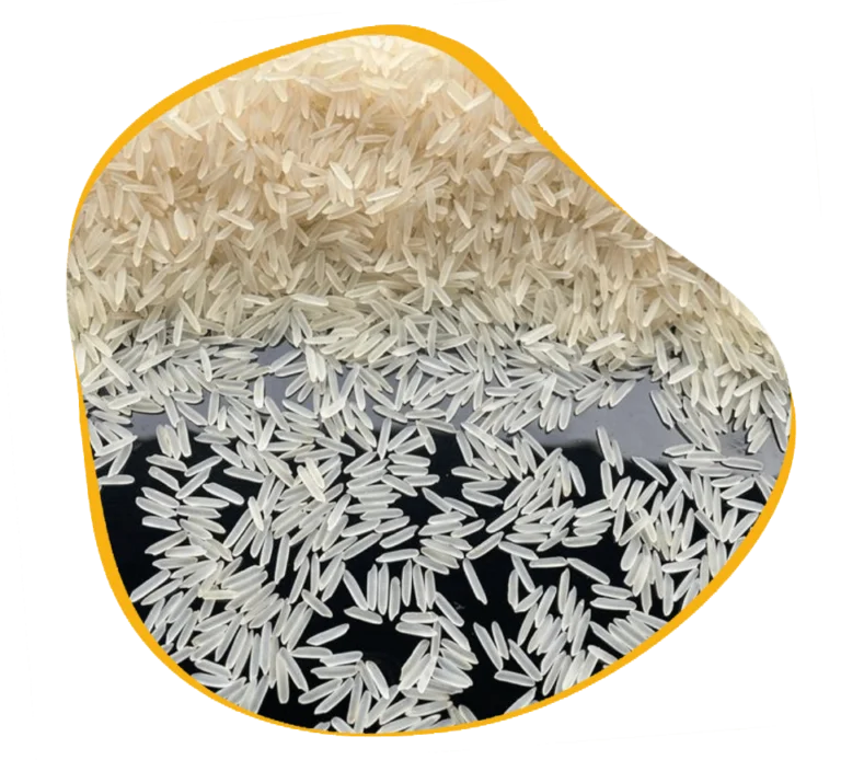 1121 Basmati Rice: