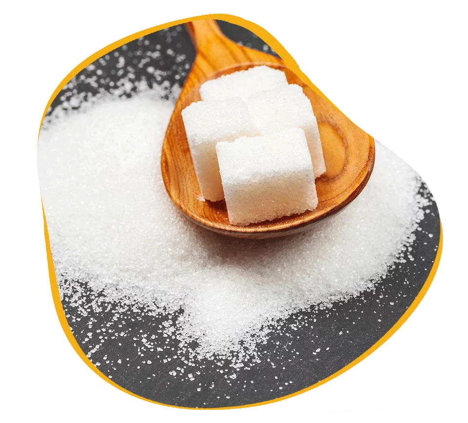 ICUMSA 45 Sugar Exporters