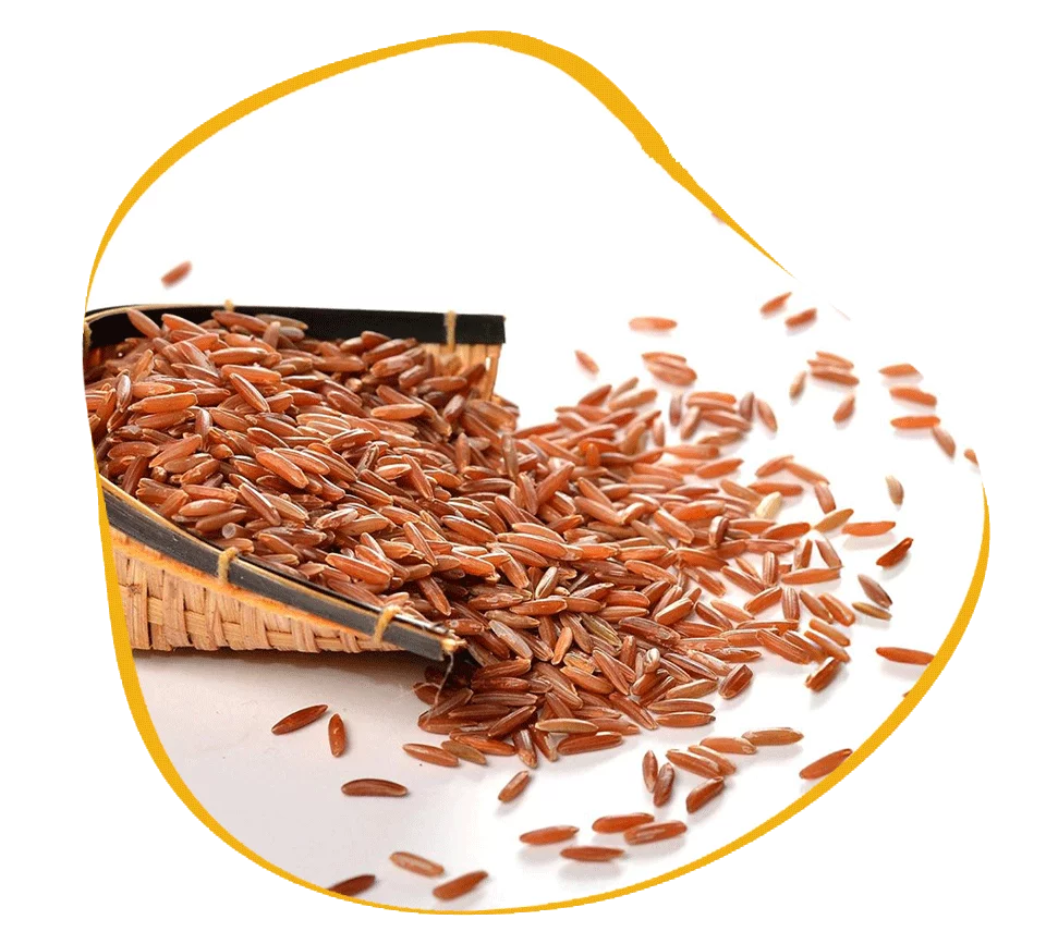 Brown basmati rice exporter in india