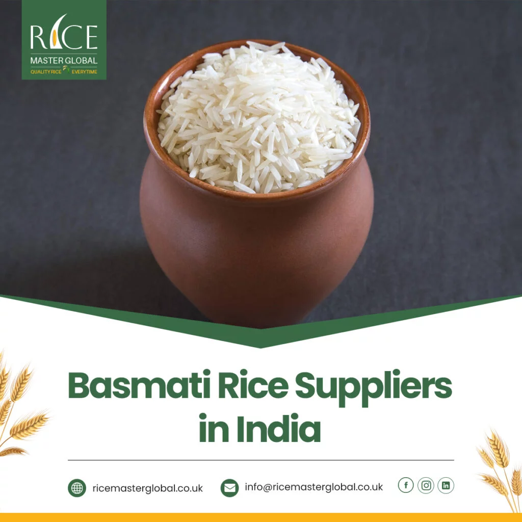 Basmati Rice Suppliers in India
